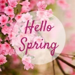 spring wallpapers android application logo